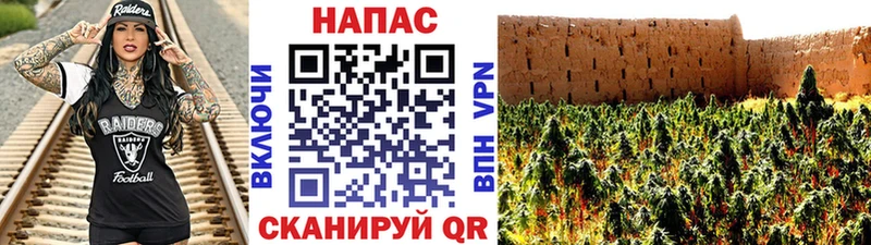 мориарти телеграм  Шуя  MEGA   МАРИХУАНА Ganja  продажа наркотиков 
